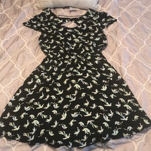Lauren Conrad bird dress